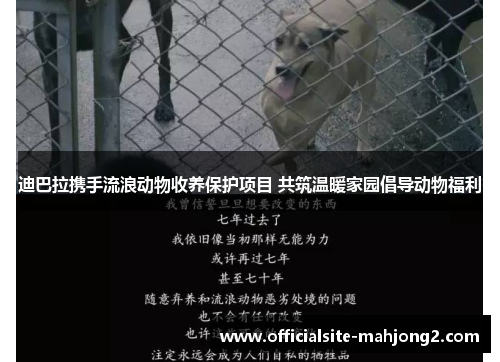 迪巴拉携手流浪动物收养保护项目 共筑温暖家园倡导动物福利