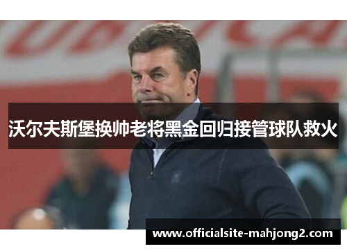 沃尔夫斯堡换帅老将黑金回归接管球队救火