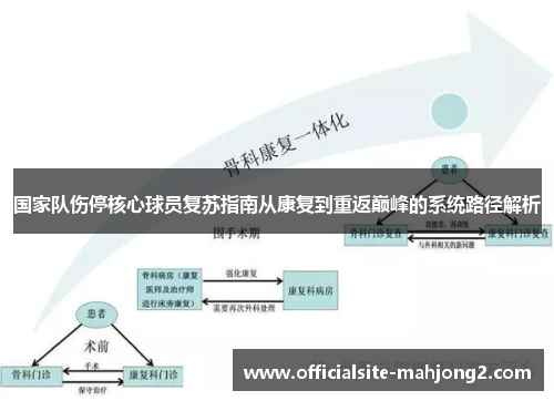 国家队伤停核心球员复苏指南从康复到重返巅峰的系统路径解析 国家队伤停核心球员复苏指南从康复到重返巅峰的系统路径解析